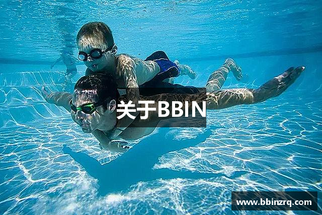 关于BBIN